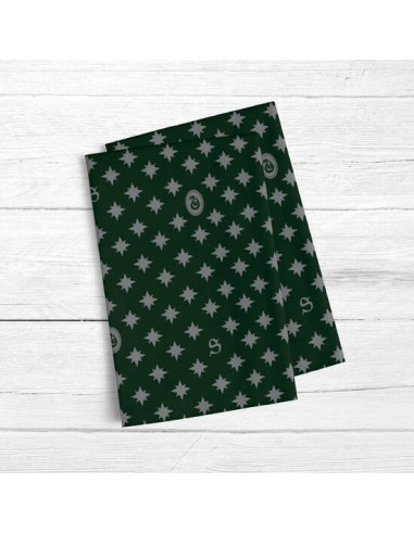 PACK 2 UNIDADES PAÑO DE COCINA SLYTHERIN